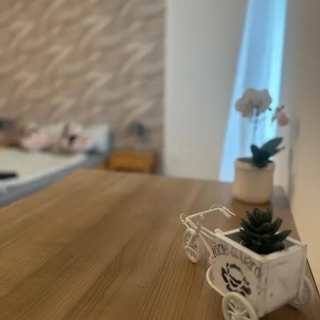 Shine Apartment *